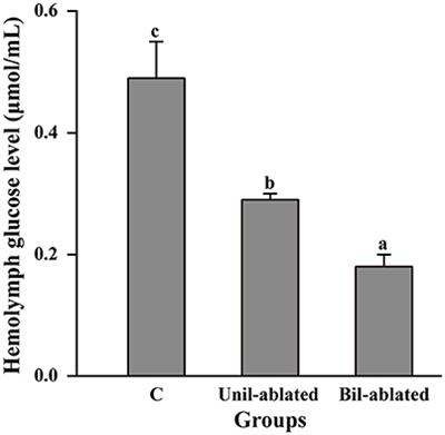 The Hyperglycemic Effect of Melatonin in the Chinese Mitten Crab, Eriocheir sinensis